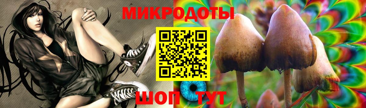 Псилоцибиновые грибы Psilocybine cubensis  Галлюциногенные грибы Cubensis  Вход с VPN  как найти закладки  Тара 